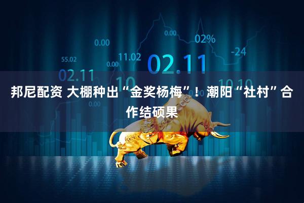 邦尼配资 大棚种出“金奖杨梅”!潮阳“社村”合作结硕果