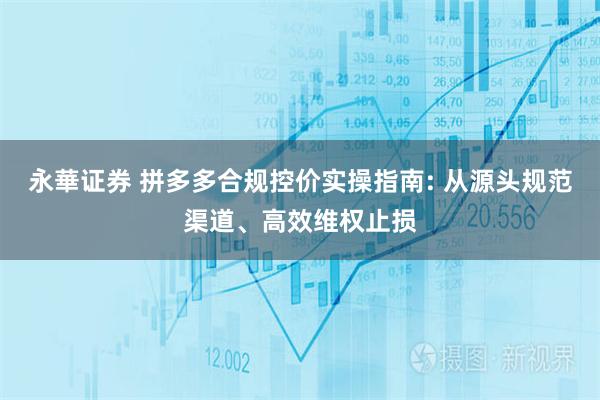 永華证券 拼多多合规控价实操指南: 从源头规范渠道、高效维权止损